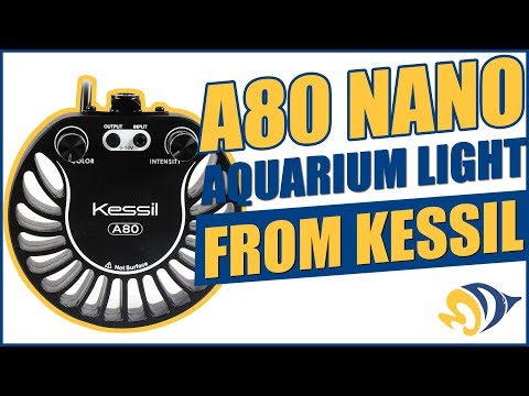 Kessil A80 Nano Reef Aquarium LED Light: What YOU Need to Know