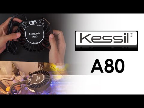 Kessil A80 tuna blue review