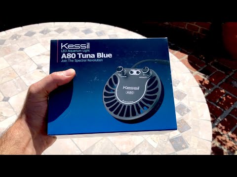 Kessil A80 Tuna Blue unboxing & review