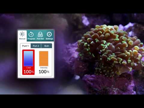 Kessil AP700 LED Fixture
