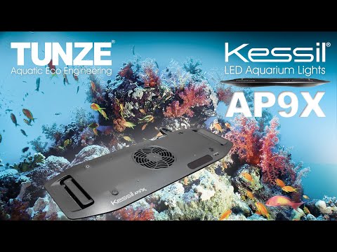 KESSIL AP9X PART 1