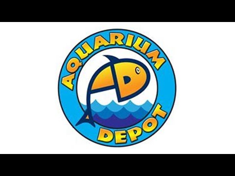 Kessil at Aquarium Depot (Citrus Heights, CA)