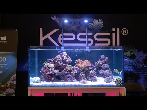 Kessil at Reef-A-Palooza New York 2018
