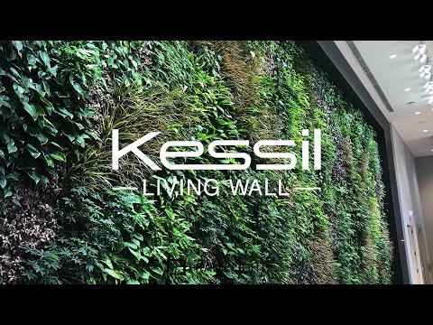 Kessil GreenWall LED Light [FrameLight Digital Shorts]