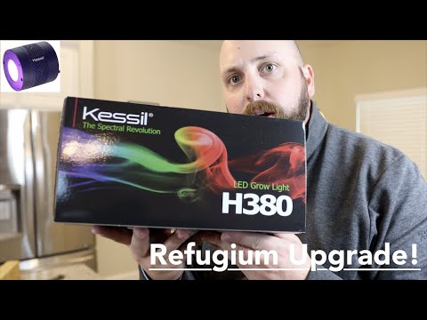 Kessil H380 Refugium Grow Light