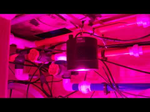Kessil H380