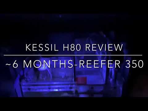 Kessil H80 – Red Sea Reefer 350- Refugium Review