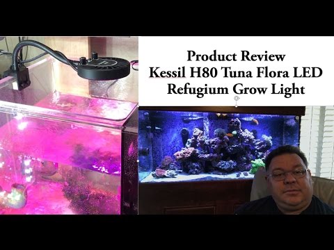 Kessil H80 Tuna Flora LED Refugium Grow Light – Product Review