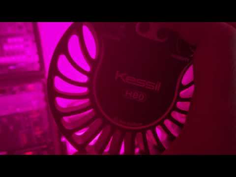 Kessil h80 tuna flora unboxing