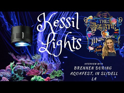 Kessil Lights