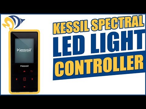 Kessil Spectral LED Light Controller: What YOU Need to Know