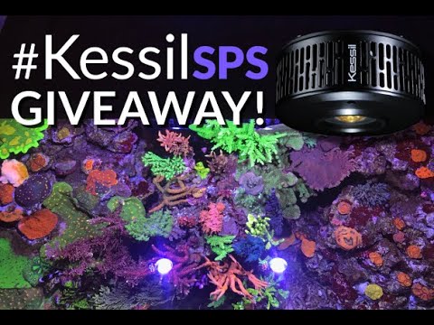 #Kessil SPS Giveaway