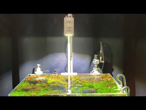 Kessil Tuna Sun A160WE White. Unboxing on UNS 60s *FRESHWATER*