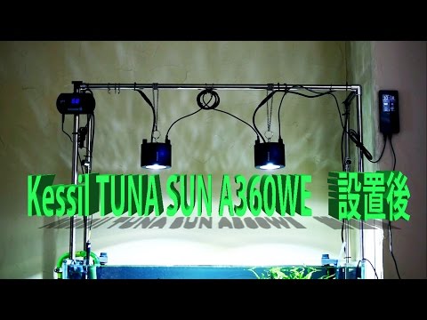 Kessil TUNA SUN A360WE設置後