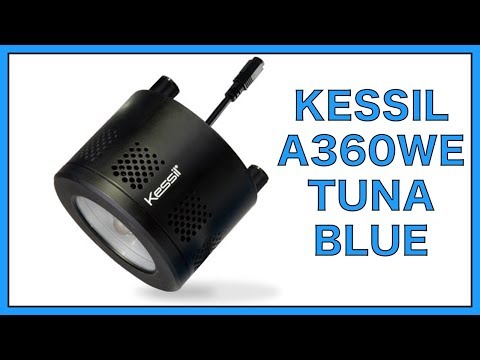 Kessil University- A360WE Tuna Blue