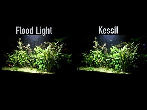 Kessil VS Flood Light