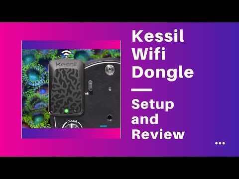 Kessil Wifi Dongle – Setup and Usage!