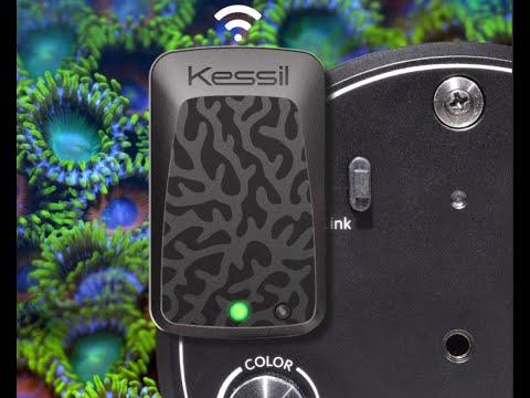 Kessil WiFi Dongle