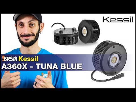 Kessil's A360X is a reef tank lighting dream: Easiest setup; widest spectrum & exceptional shimmer.