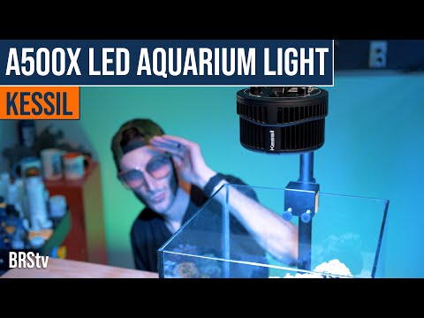 Kessil's A500X: More Punch, More Power, More Par for Your SPS Corals…Still Small and Compact!