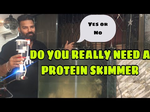 Kya mujko protein skimmer laggana chaiyea | Bubble magus QQ protein skimmer | beginner Guide -2021