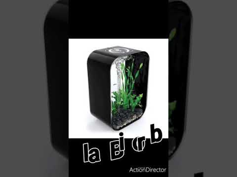La biorb??
