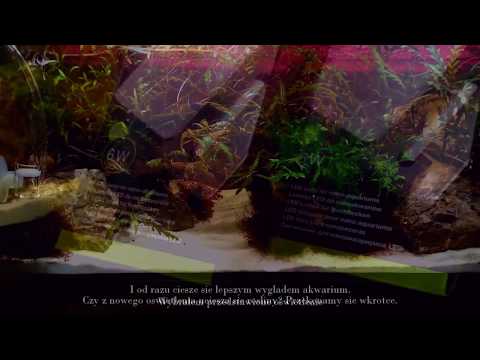 Lampa AQUAEL LEDDY SMART plant – TEST