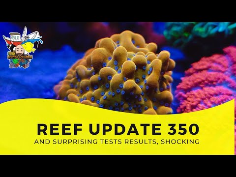 Latest Reef News, Suprise test results and KH keeper nightmare