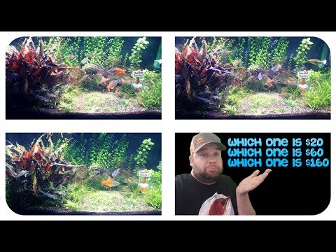 LED LIGHT COMPARISON: Finnex, Fluval, Aquaneat – New Plants – A Day in the Fishroom