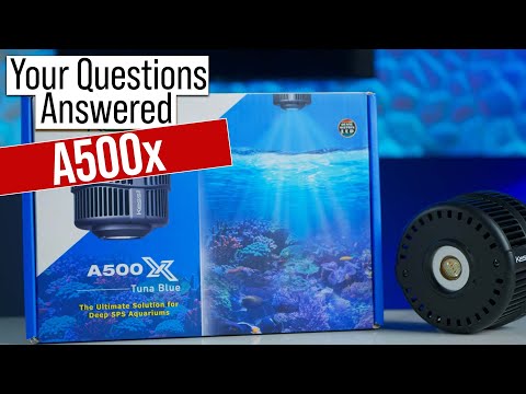 Legendary Shimmer With SPS Coral in Mind? Kessil A500x