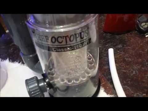 Limpeza Skimmer Reef Octopus e Sump
