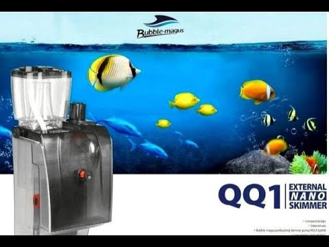 LIMPIEZA Y PUESTA EN MARCHA DE SKIMER BUBBLE MAGUS QQ1