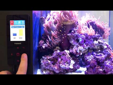 LiveAquaria® Diver’s Den® Aquatic Insider Kessil Aquarium A360WE Tuna Blue LED Light & Accessories