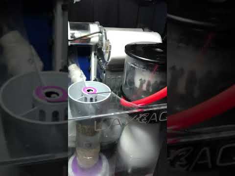 Look into my new aquarium! Featuring a bubble magus filter sock roller! See it in action.