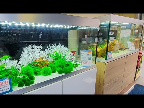 Looking for that Perfect Aquarium?