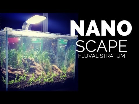 Low Tech Nano AquaScape Using Fluval Stratum