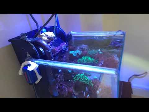 Luminária Spectra Aqua Knight V2. Parte 2