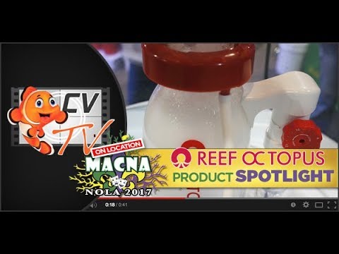 MACNA 2017: Reef Octopus
