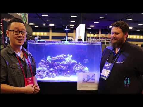 MACNA 2018 – Introducing Kessil X.