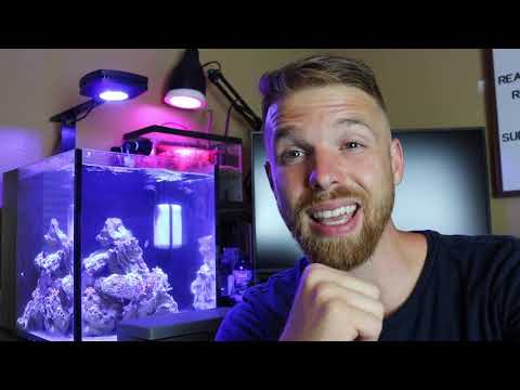 Maintenance and Update Innovative Marine Nuvo 10