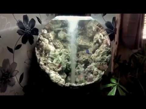 Marine Biorb 105