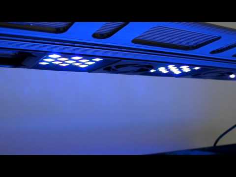 Maxspect Razor Over the Reef Octopus Luxury 90 Aquarium