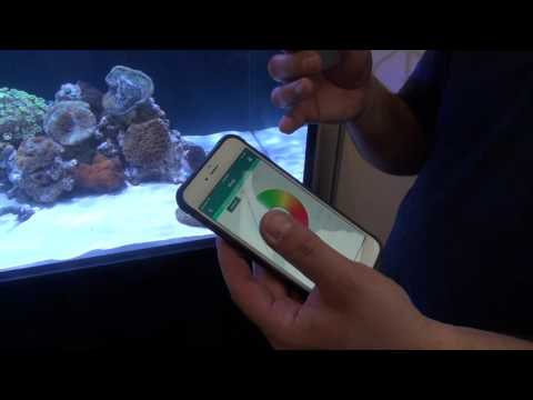 Meerwasser Fa. Kessil LED  AP 700  Interzoo 2016