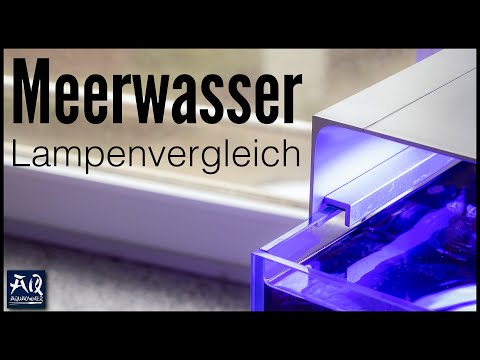 Meerwasser Licht Vergleich (Kessil A360X Vs. ONF THE FLAT ONE) | AquaOwner