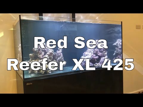 Meet the Tank, First impressions | Red Sea Reefer XL 425 Build