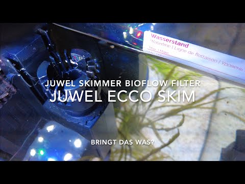 Mein Juwel Diskus Aquarium mit Juwel Skimmer EccoSkim & UV Lampe für BioFlow Filter LED W-Lan Licht