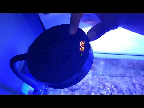 Mengatur Waktu Lampu 8 Jam untuk Aquarium Air Laut Saya
