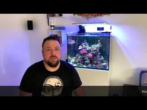 Michael Siek – Red Sea Reefer 170L – Subtitulo