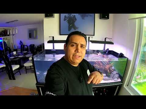 Montando Acuario Plantado de 500 litros