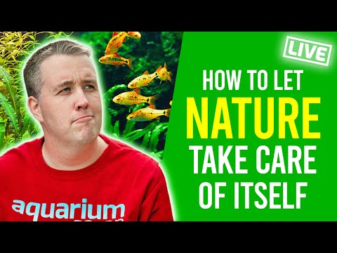 Most people should embrace LOW TECH Aquariums.